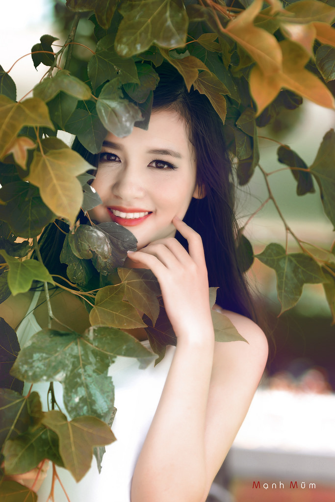 许安安